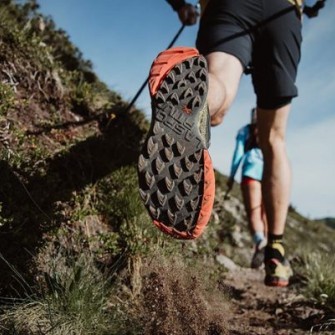 120 g carbohydrates per hour? Yes or no?